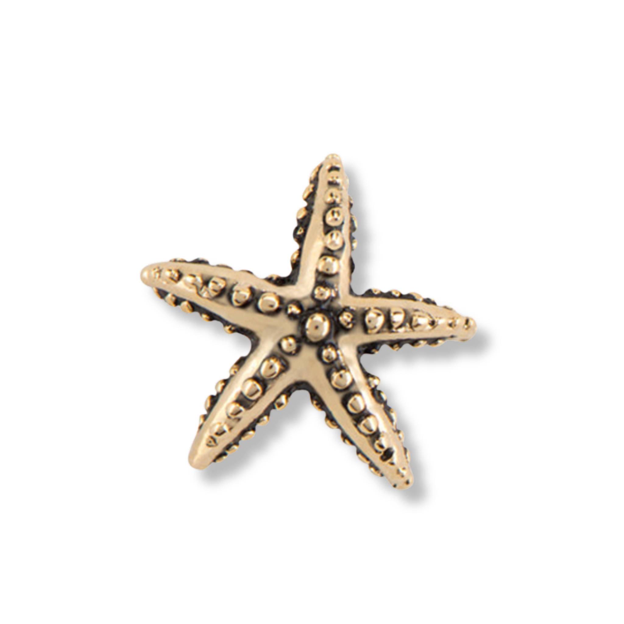 Memory Locket Charm - Starfish