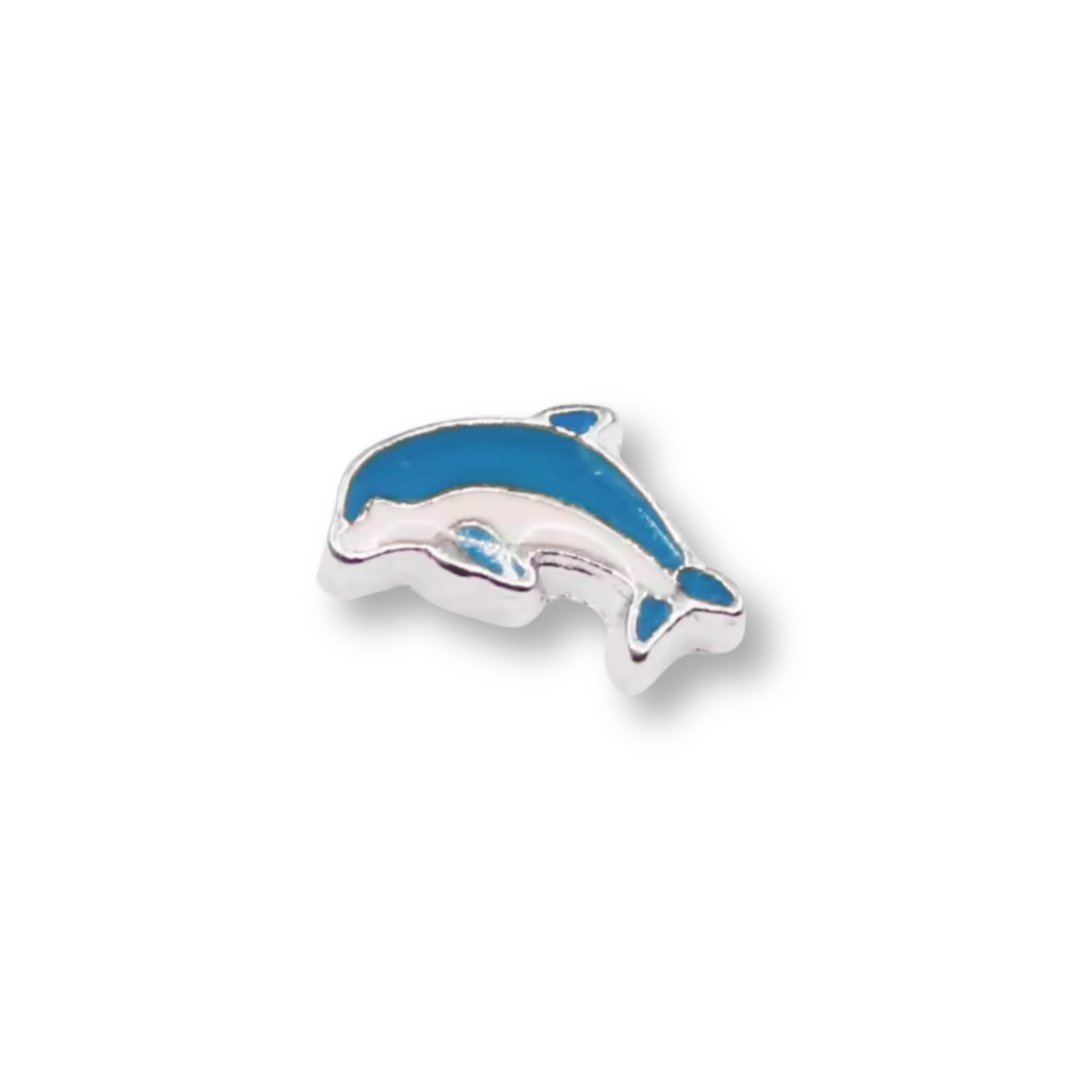 Blue Dolphin Memory Locket Charm - The Little Jewellery Company