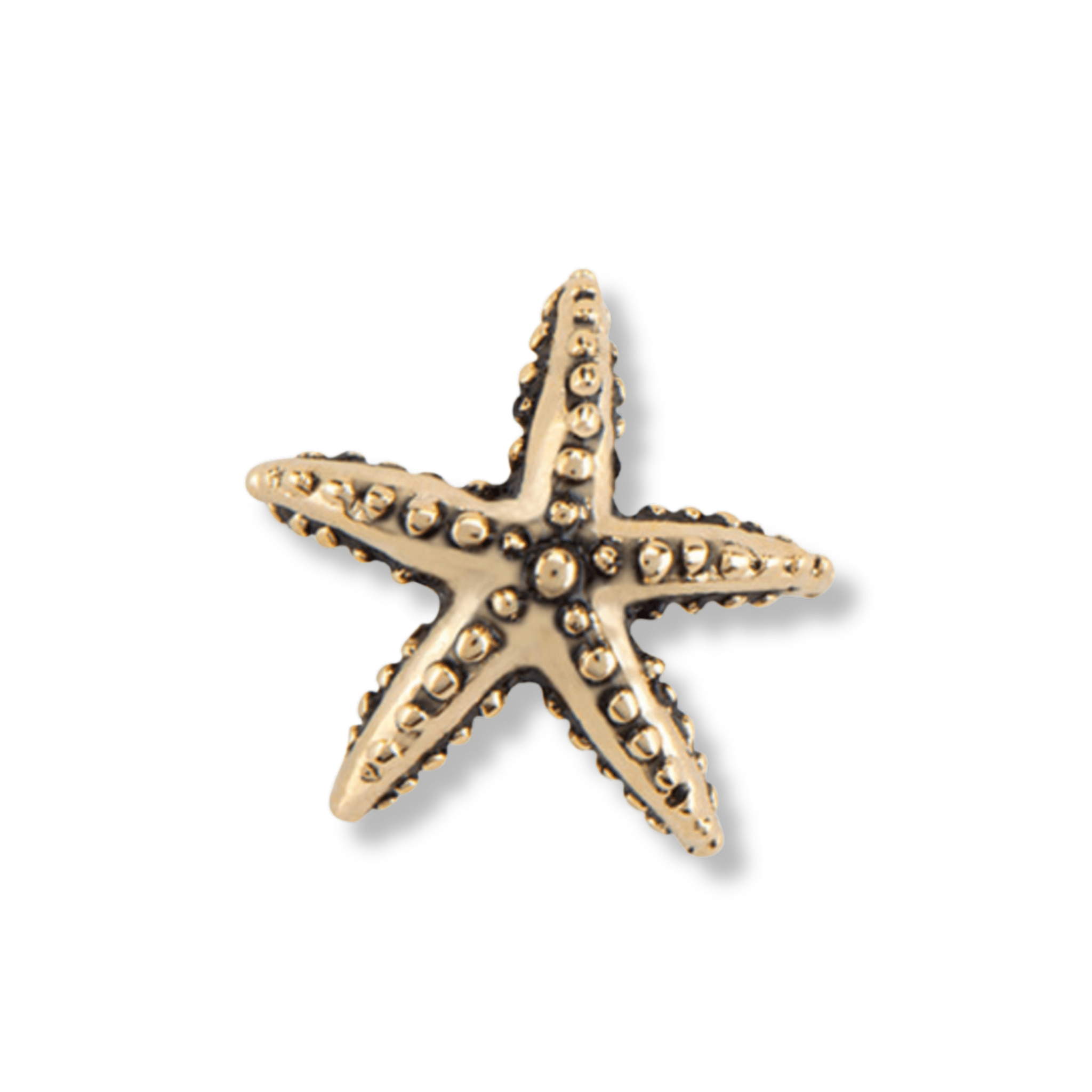 Memory Locket Charm - Starfish - The Little Jewellery Company