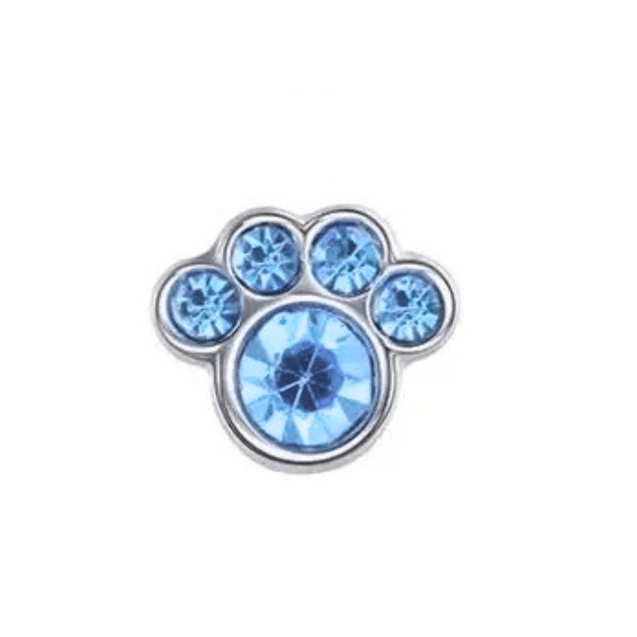 Paw (Blue) Memory Locket Charm - The Little Jewellery Company