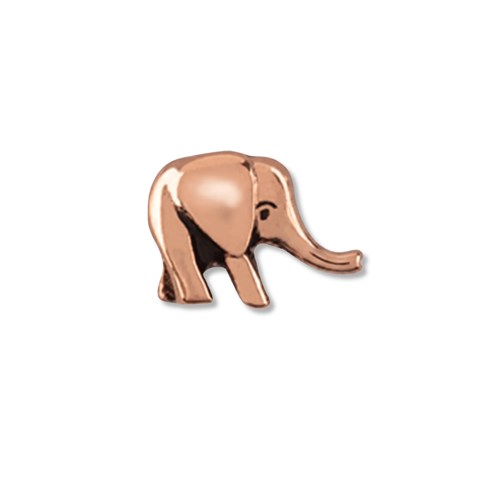 Baby Elephant Memory Locket Charm - The Little Jewellery Company