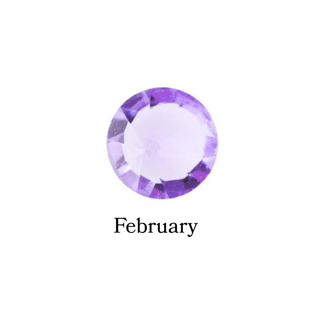 Birthstone Crystal (February - Amethyst) Memory Locket Charm - The Little Jewellery Company