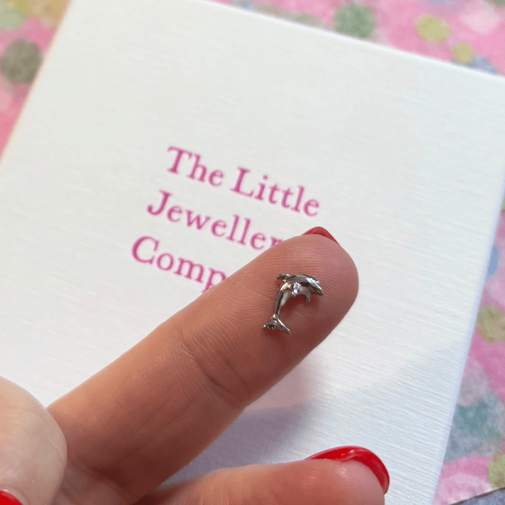 Dolphin Memory Locket Charm - The Little Jewellery Company