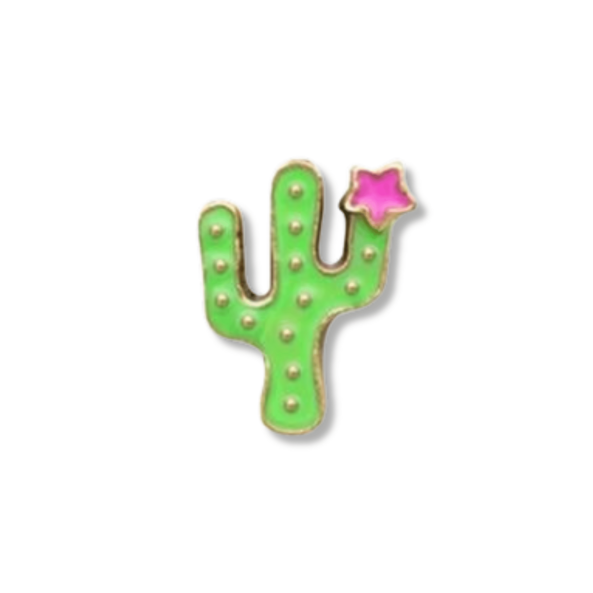 Memory Locket Charm - Cactus - The Little Jewellery Company