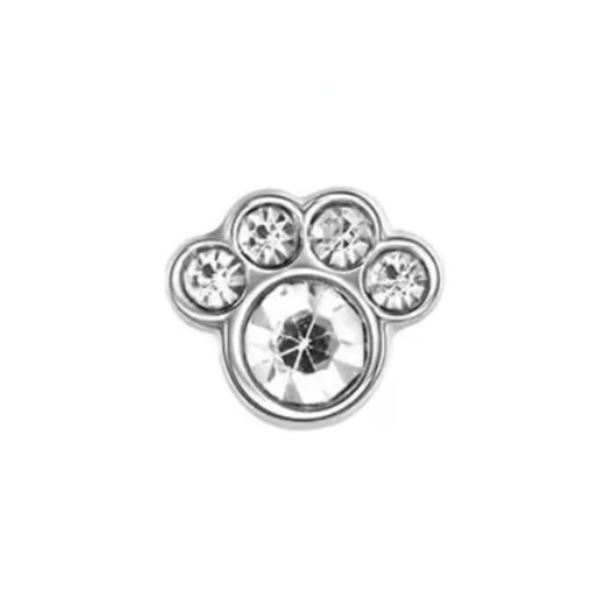 Memory Locket Charm - Crystal Paw - The Little Jewellery Company