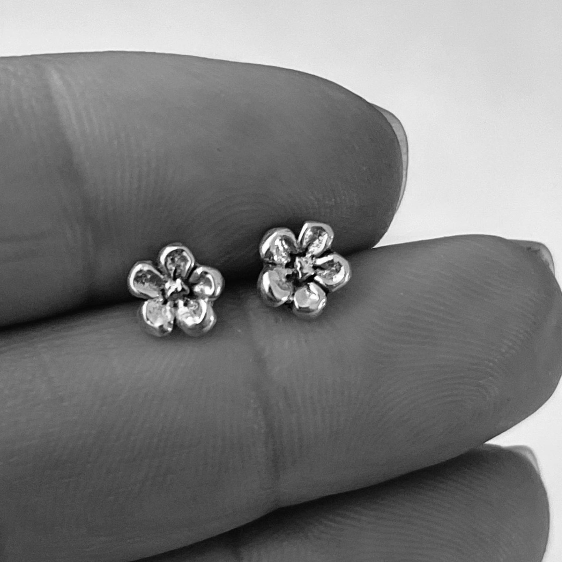 Silver Forget Me Not Earrings - The Little Jewellery Company