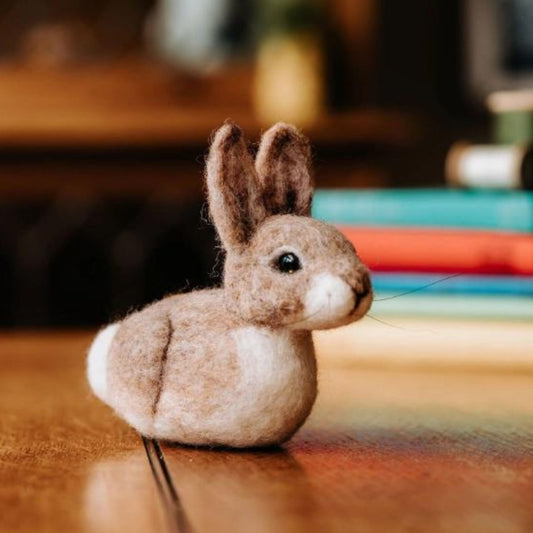Baby Bunny Needle Felting Craft Kit - The Little Jewellery Company