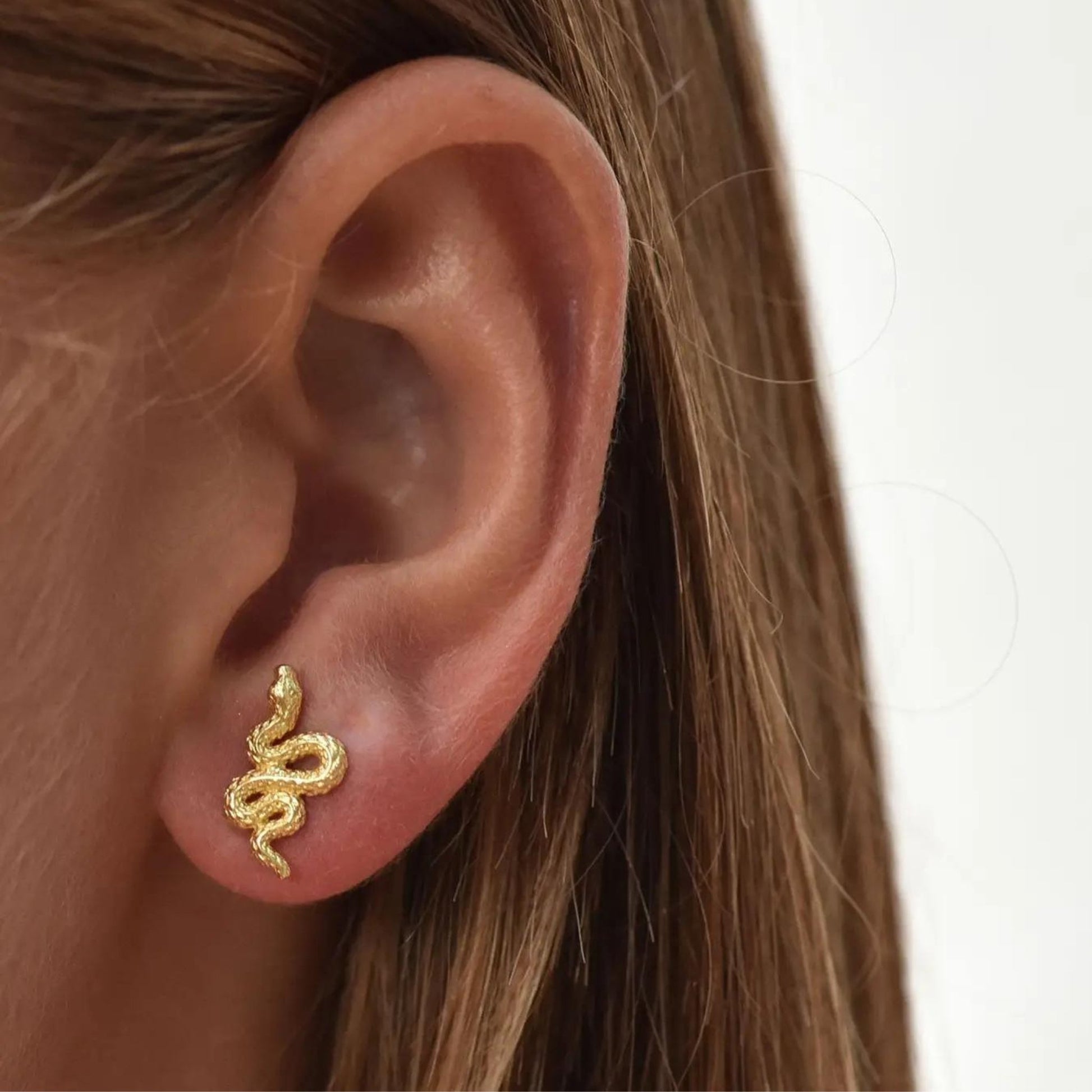 Medusa Mini Snake Stud Earrings - The Little Jewellery Company