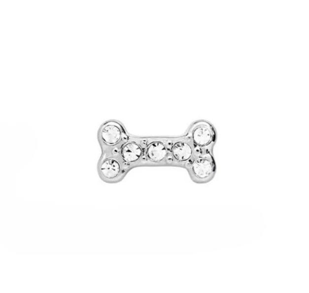 Memory Locket Charm - Crystal bone