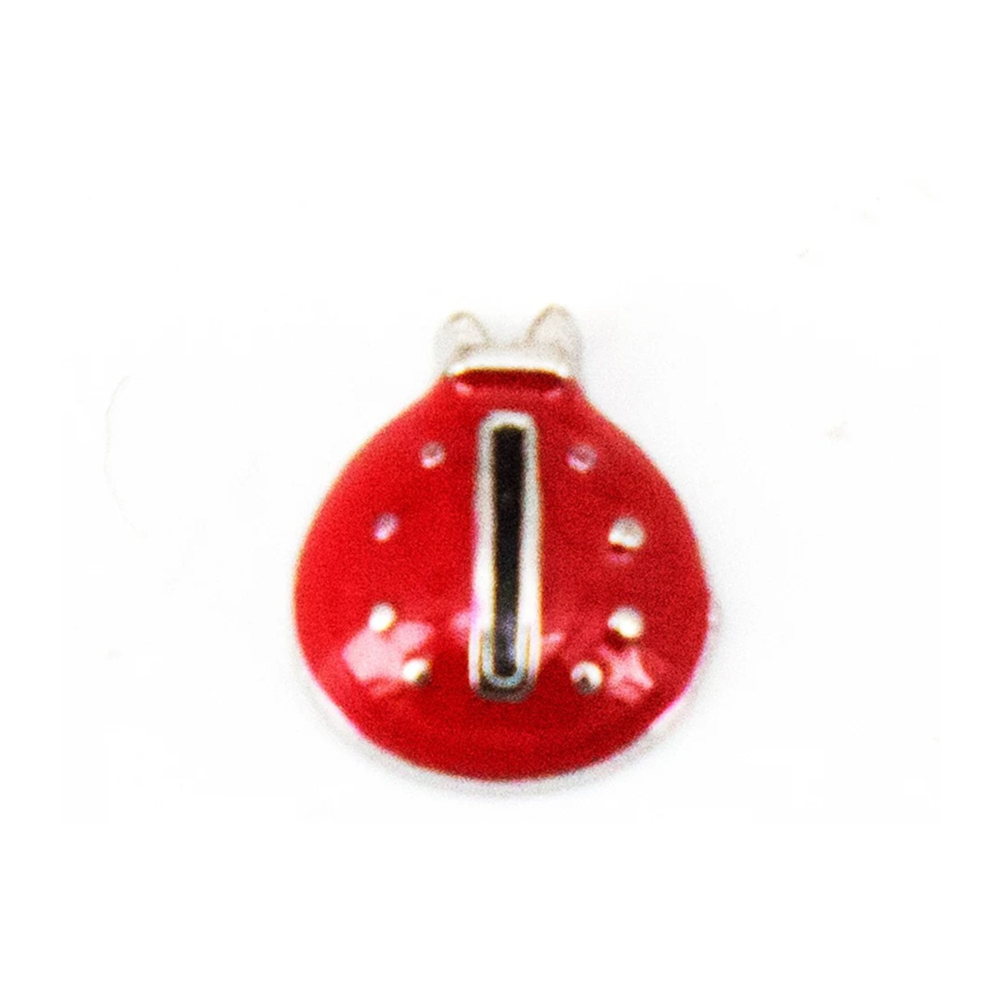 Memory Locket Charm - Ladybird