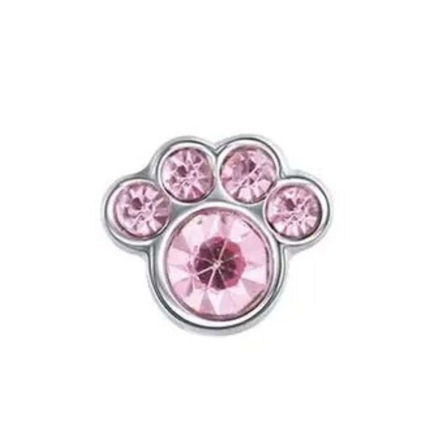 Memory Locket Charm - Paw (pink) - The Little Jewellery Company