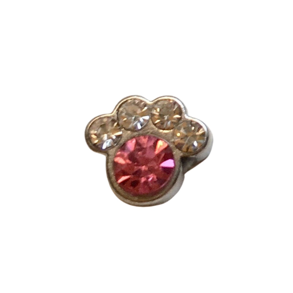 Memory Locket Charm - Paw (pink and crystal)