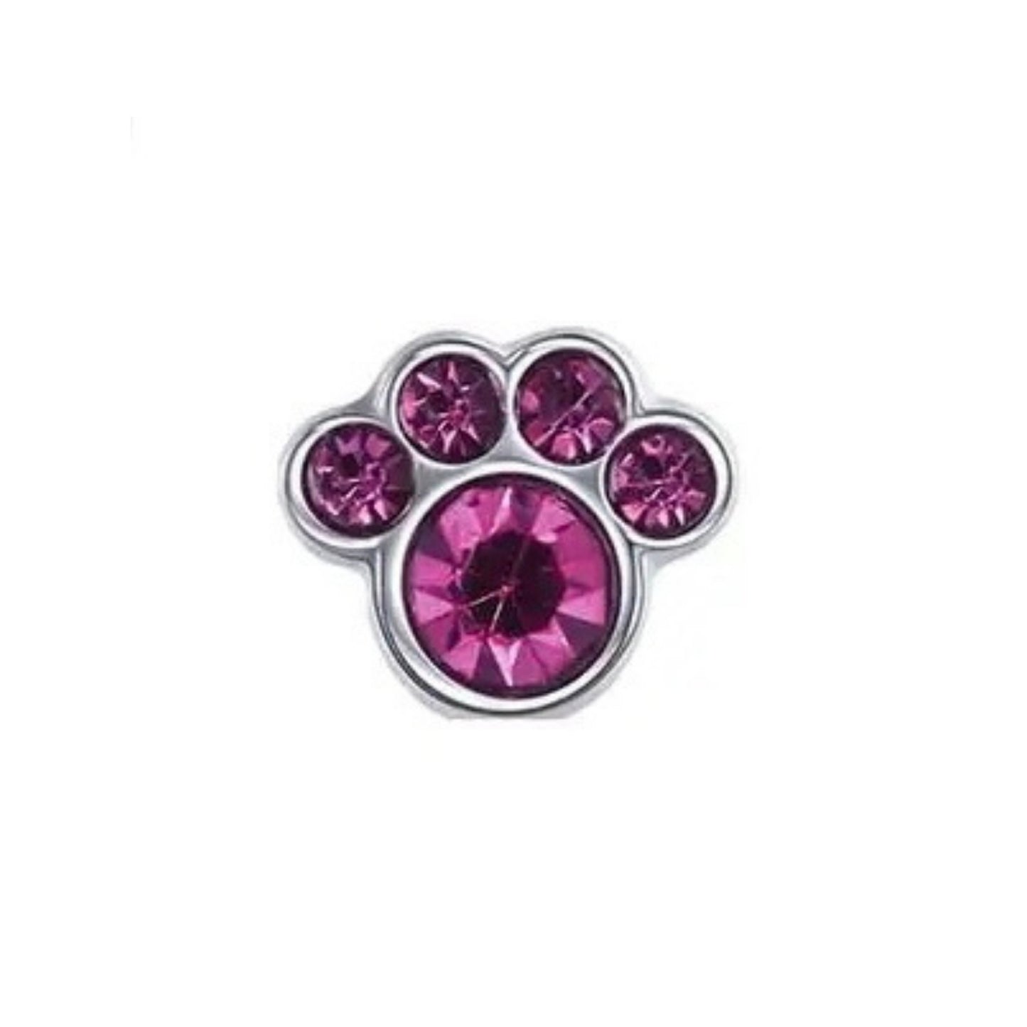 Memory Locket Charm - Paw (purple) - The Little Jewellery Company