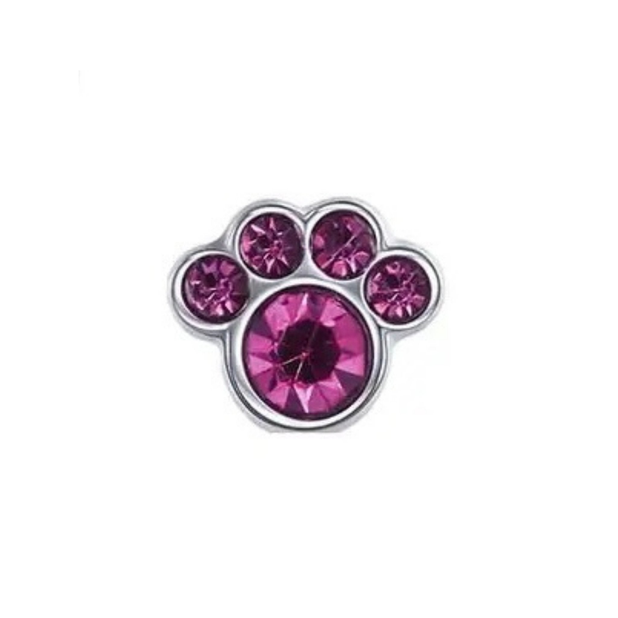 Memory Locket Charm - Paw (purple)