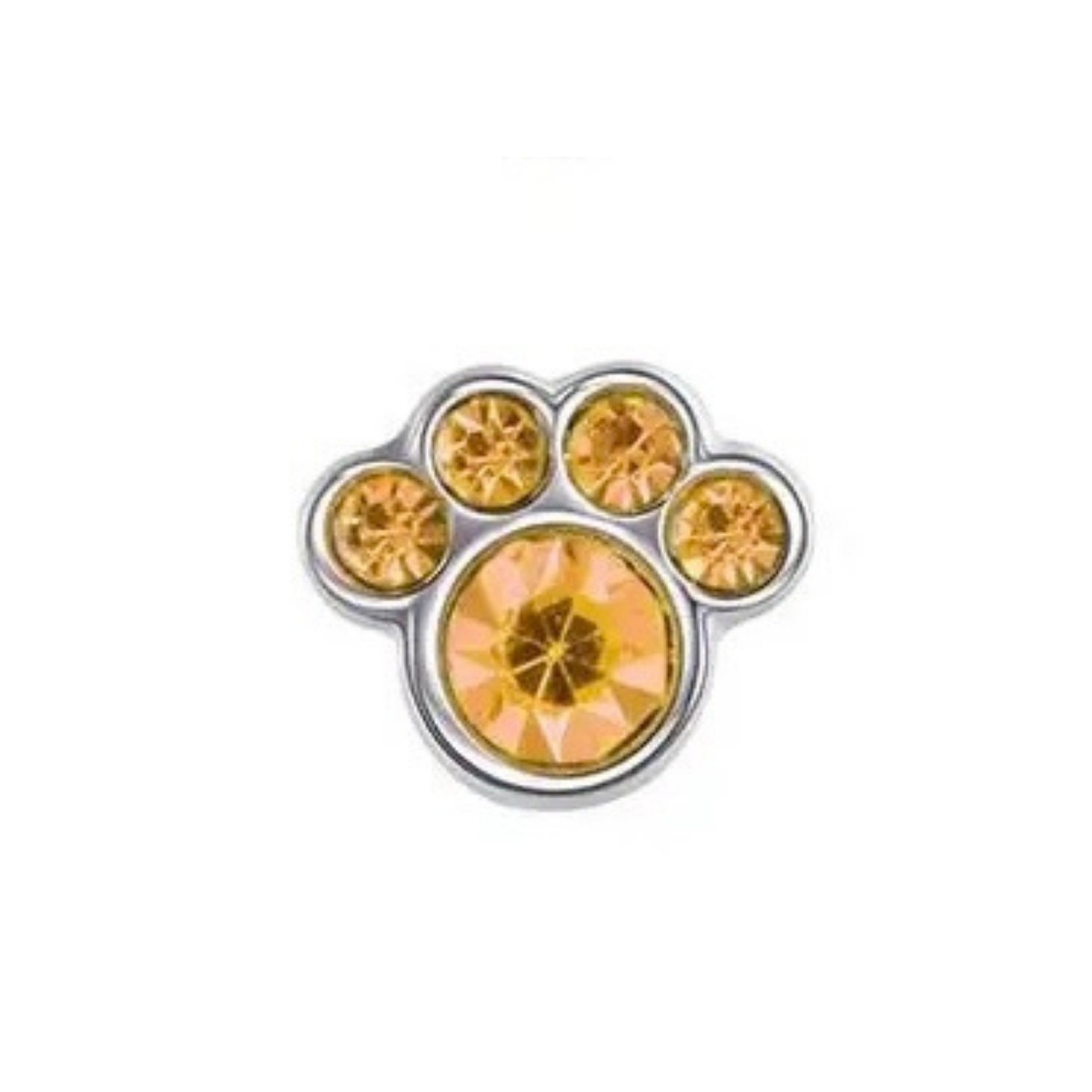 Memory Locket Charm - Paw (topaz)